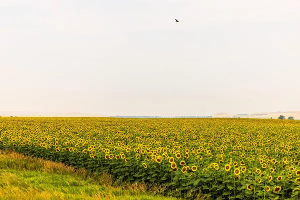TBD Sec 24 31 St Se Lot 2, North Lemmon, ND 58639