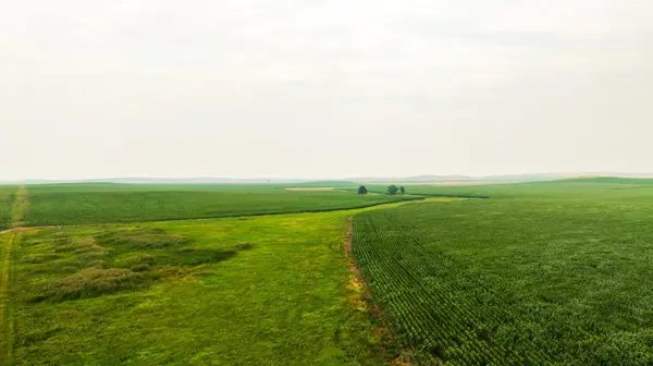 TBD Sec 26 4 Ave Se Lot 4, North Lemmon, ND 58639