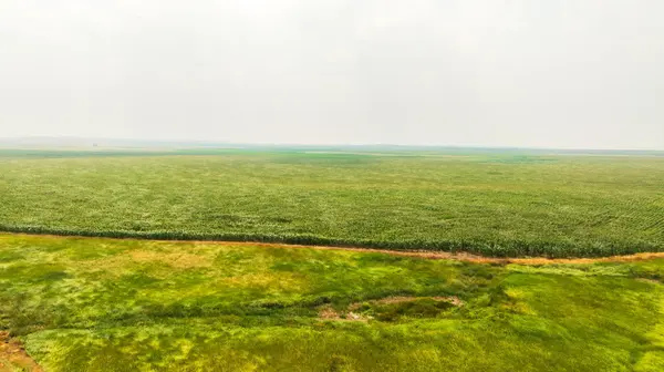TBD Sec 25 3 Ave Se Lot 5, North Lemmon, ND 58639