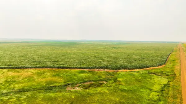 TBD Sec 25 3 Ave Se Lot 5, North Lemmon, ND 58639