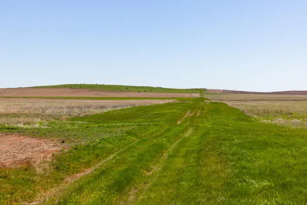 TBD Sec 25 31 St Se Lot 6, North Lemmon, ND 58639