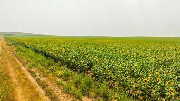 TBD Sec 35 31 St Se Lot 8, North Lemmon, ND 58639