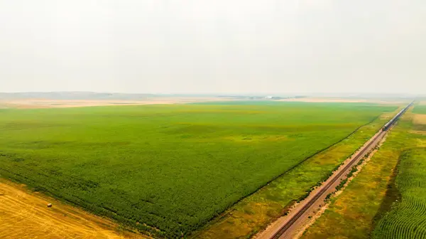 TBD Sec 35 31 St Se Lot 8, North Lemmon, ND 58639