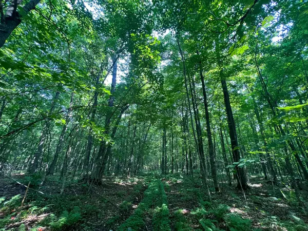 LOT 4 Smith RD, Couderay, WI 54828