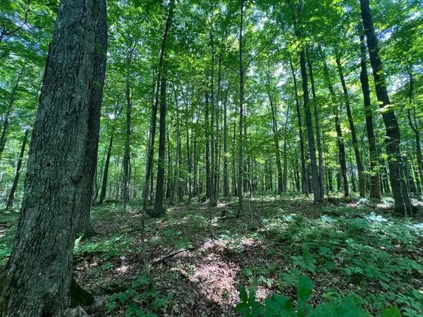 LOT 4 Smith RD, Couderay, WI 54828