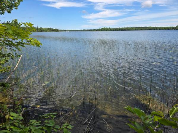 TBD N Moose Lake RD NE, Pennington, MN 56663