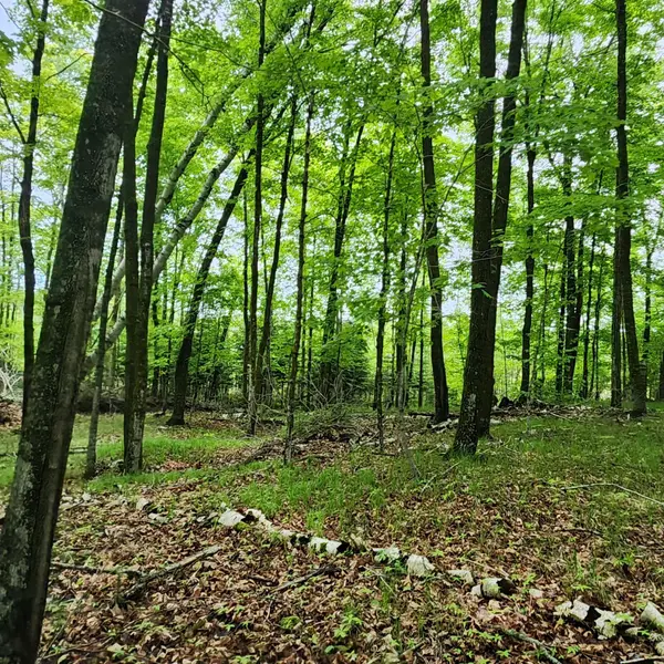 3157 4th AVE NW, Longville, MN 56655
