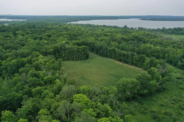 TBD N Cotton Lake RD, Rochert, MN 56578