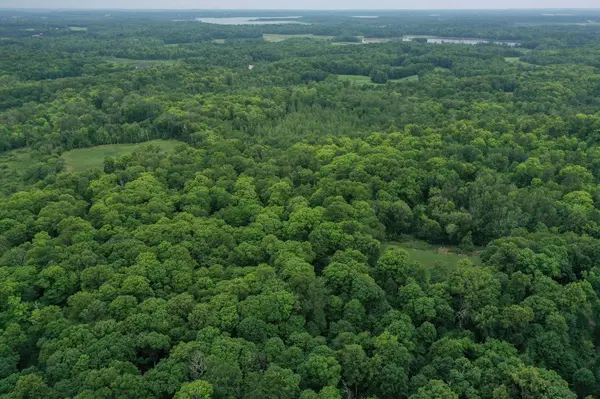 TBD N Cotton Lake RD, Rochert, MN 56578