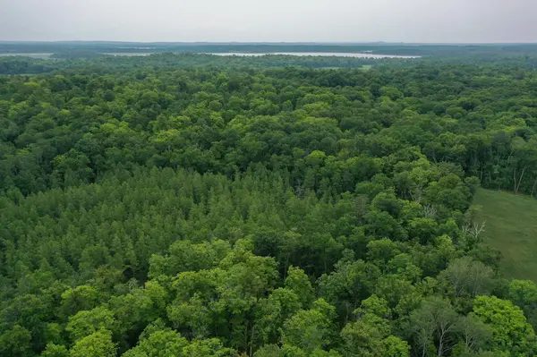 TBD N Cotton Lake RD, Rochert, MN 56578