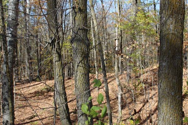 TBD Woods RD, Isle, MN 56342