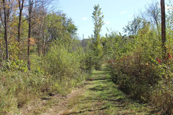 TBD Woods RD, Isle, MN 56342