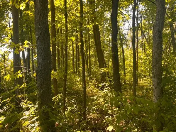 Lot 1 County Road BB, Woodville, WI 54028