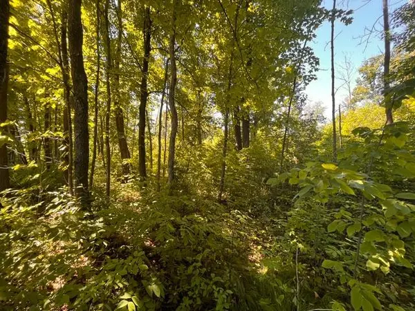 Lot 1 County Road BB, Woodville, WI 54028