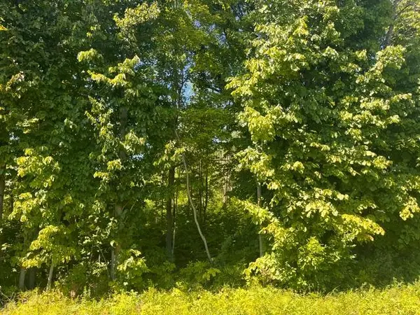 Lot 1 County Road BB, Woodville, WI 54028