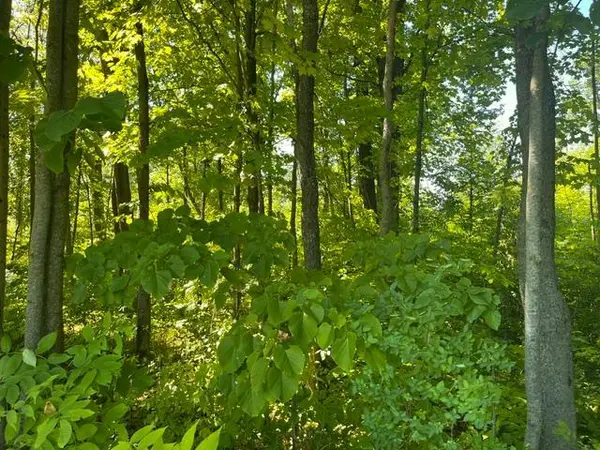 Lot 1 County Road BB, Woodville, WI 54028