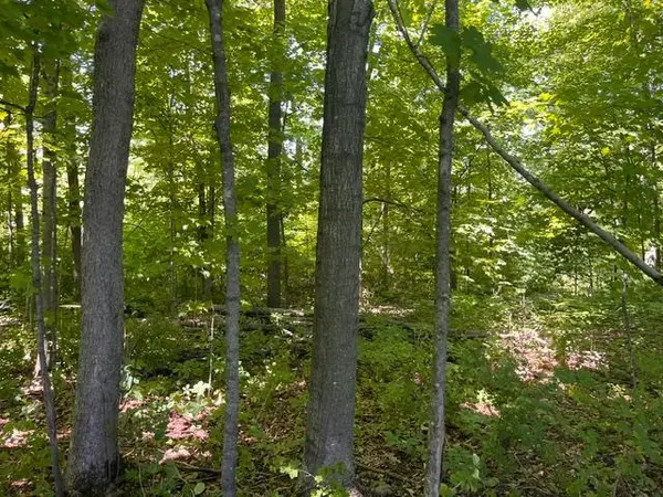 Lot 2 County Rd BB, Woodville, WI 54028