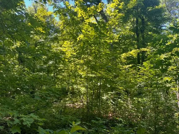 Lot 2 County Rd BB, Woodville, WI 54028