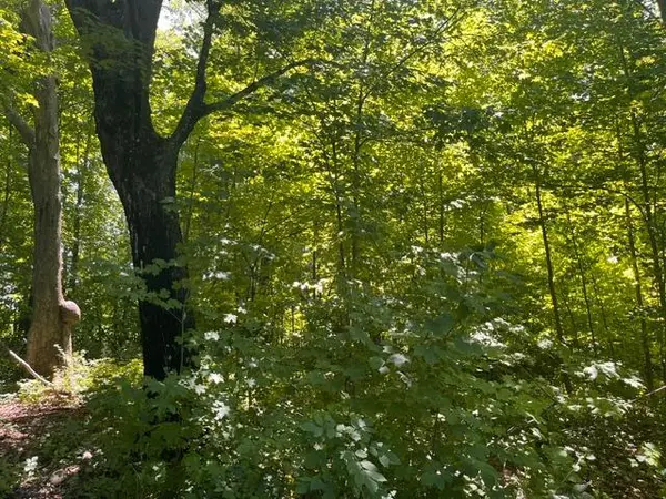 Lot 2 County Rd BB, Woodville, WI 54028