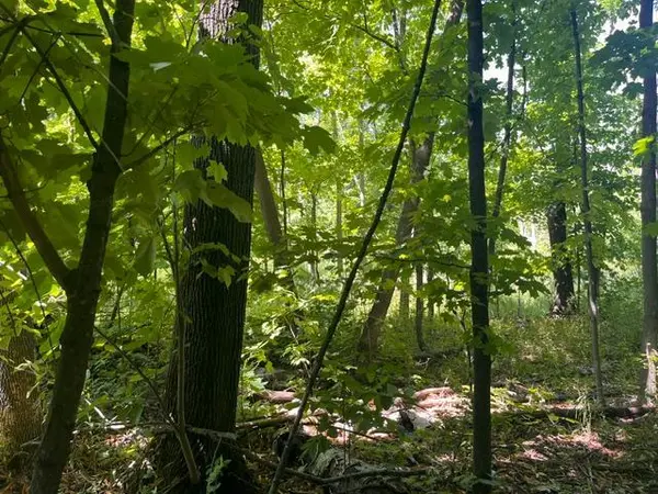 Lot 3 60th AVE, Woodville, WI 54028