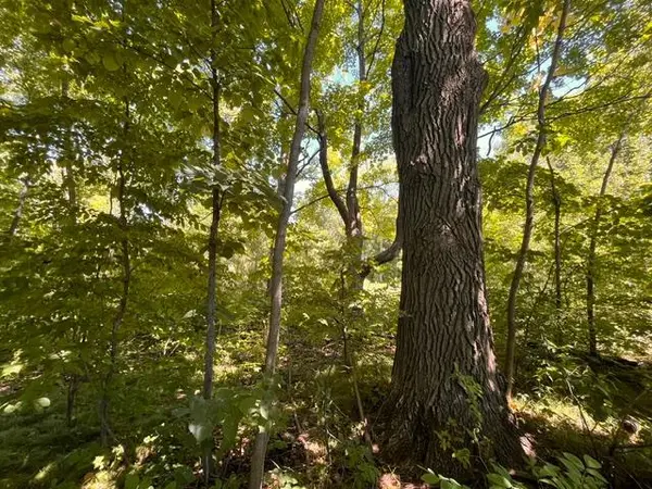 Lot 3 60th AVE, Woodville, WI 54028