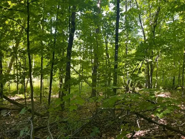 Lot 3 60th AVE, Woodville, WI 54028