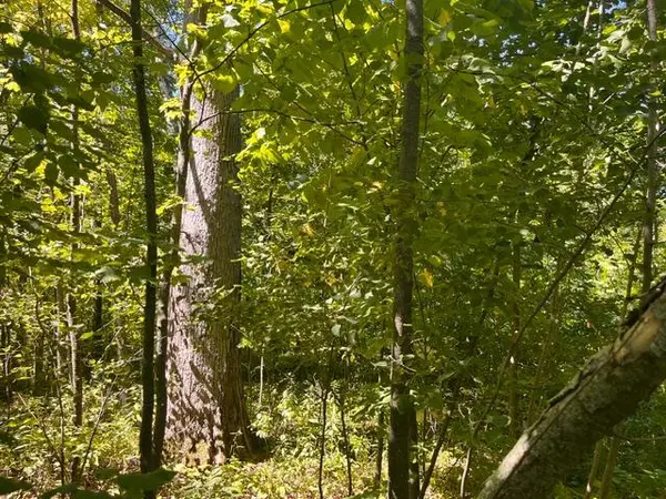 Lot 3 60th AVE, Woodville, WI 54028