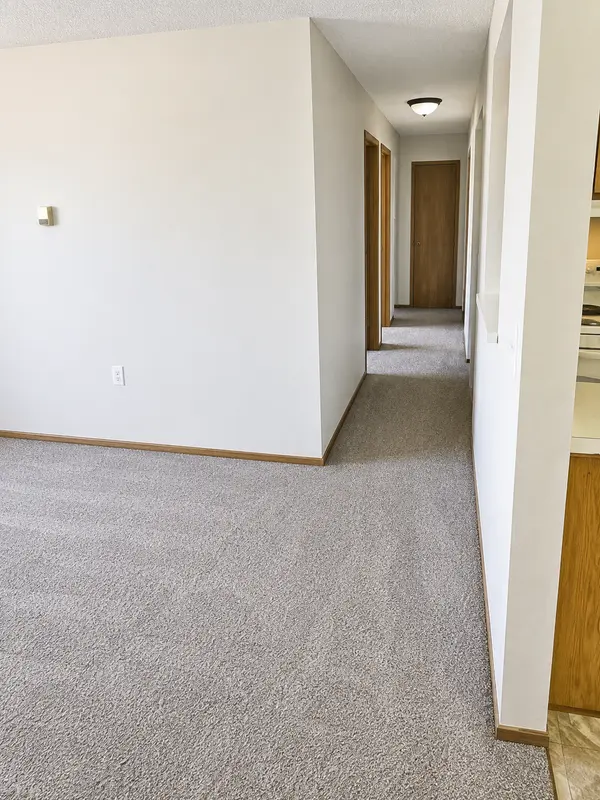 318 Spruce ST ##203, Paynesville, MN 56362