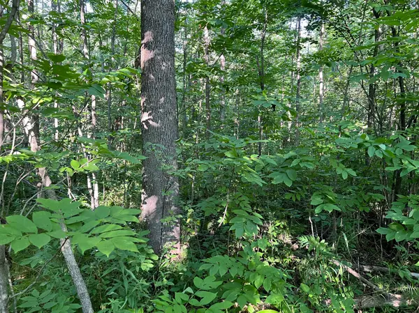 000 Beroun Crossing Rd, Brook Park, MN 55007
