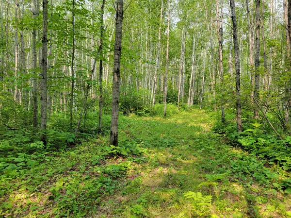 TBD Woodbury DR, Wright, MN 55798