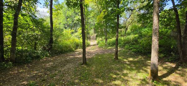 TBD Cty Hwy 27, Rushford, MN 55971