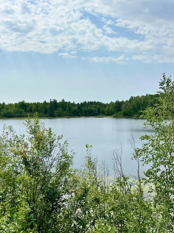 44616 Mcgrady TRL, Nashwauk, MN 55769