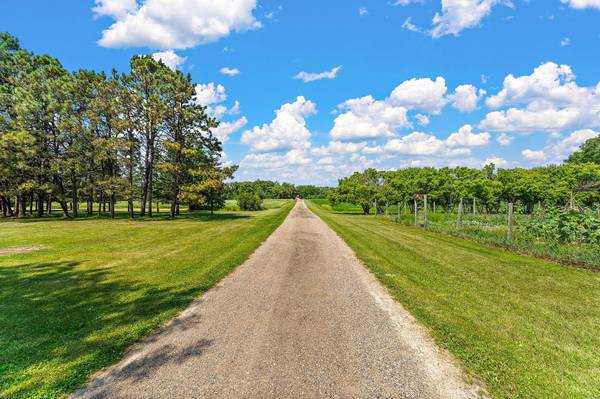 29270 Doyle TRL, Randolph, MN 55065