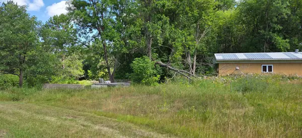TBD Lot #1 Town Road 207, International Falls, MN 56649