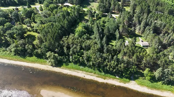 TBD Lot #1 Town Road 207, International Falls, MN 56649