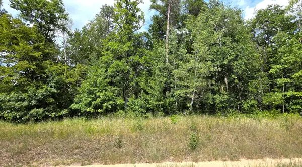 TBD Peony LN, Breezy Point, MN 56472