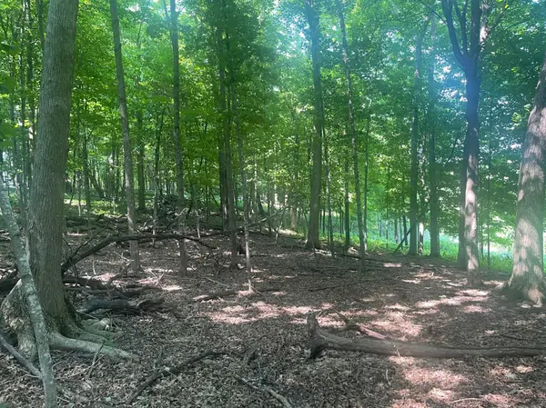 TBD 190th Street, Centuria, WI 54824