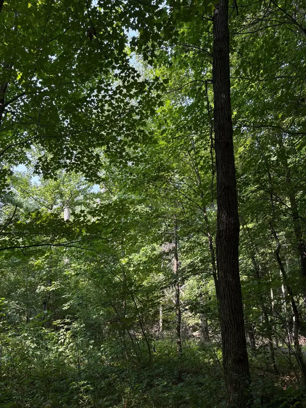 TBD 366th ST, North Branch, MN 55056