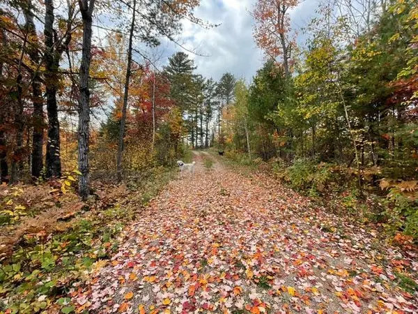 9014 Ban Lake SPUR N, Orr, MN 55771