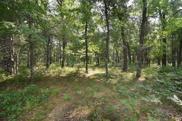 Lot 5 South Point TRL, Danbury, WI 54830