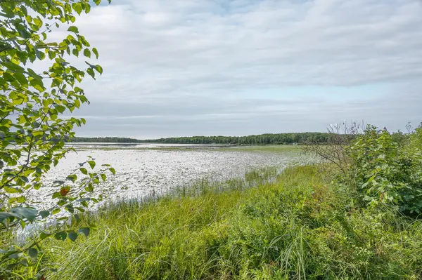 1089 8th ST NE, Pine River, MN 56474