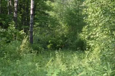 15690 330th ST, Mcgregor, MN 55760