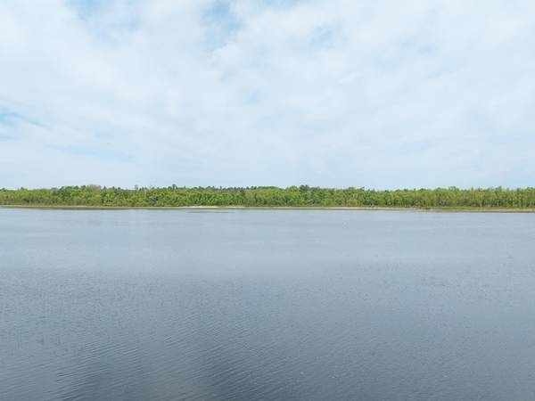 TBD Fern TRL NE, Remer, MN 56672