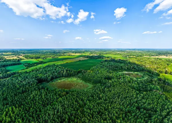 TBD Buzzle RD NW, Shevlin, MN 56676