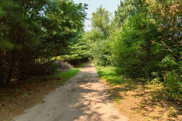 0 County RD N, Pepin, WI 54759