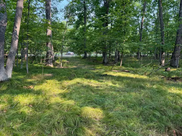 81871 Schoumaker RD, Willow River, MN 55795