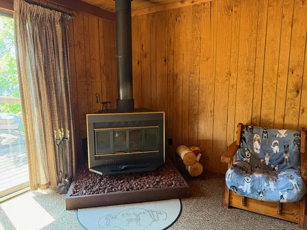 95108 Gold IS, Tower, MN 55790