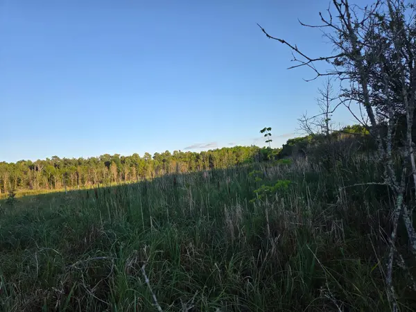 TBD (lot 2) 190th ST, Bagley, MN 56621
