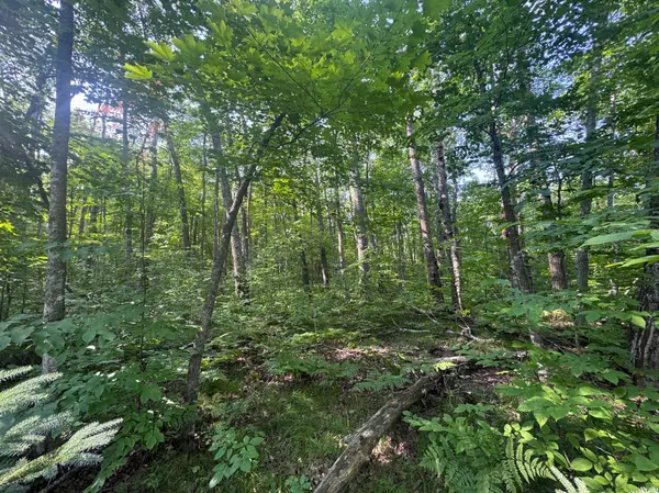 TBD Howard Lake RD NW, Akeley, MN 56433