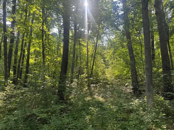 TBD Howard Lake RD NW, Akeley, MN 56433